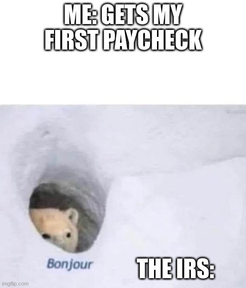 Bonjour | ME: GETS MY FIRST PAYCHECK; THE IRS: | image tagged in bonjour | made w/ Imgflip meme maker