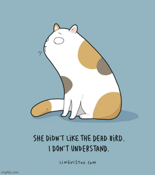 A Cat's Way Of Thinking | image tagged in memes,comics,cats,dead,bird,no please you don't understand | made w/ Imgflip meme maker