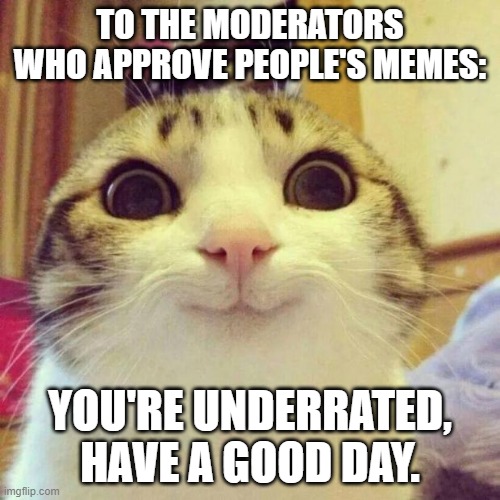 no seriously. this goes for all streams. | TO THE MODERATORS WHO APPROVE PEOPLE'S MEMES:; YOU'RE UNDERRATED, HAVE A GOOD DAY. | image tagged in memes,smiling cat,moderators,imgflip,wholesome,cat | made w/ Imgflip meme maker
