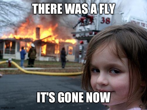 Disaster Girl | THERE WAS A FLY; IT'S GONE NOW | image tagged in memes,disaster girl | made w/ Imgflip meme maker