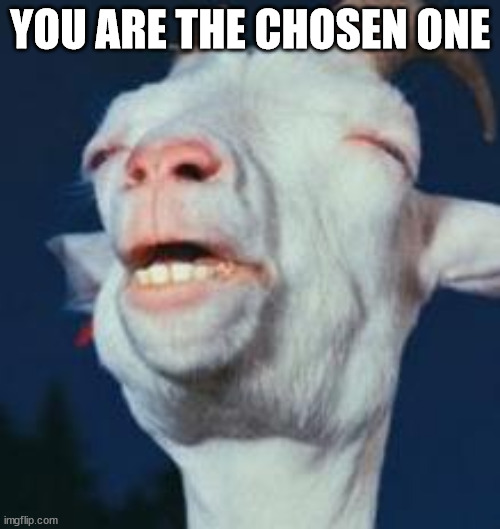 Scape Goat | YOU ARE THE CHOSEN ONE | image tagged in goat | made w/ Imgflip meme maker