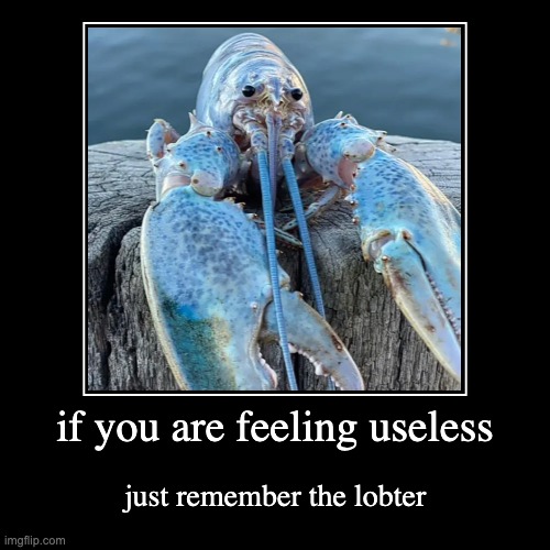 lobter | image tagged in funny,demotivationals | made w/ Imgflip demotivational maker