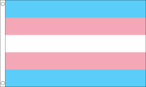 Transgender Flag Blank Meme Template