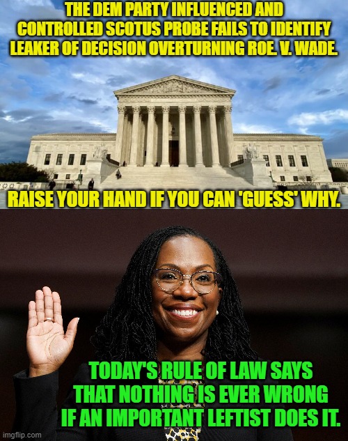 Some things are . . . inevitable. | THE DEM PARTY INFLUENCED AND CONTROLLED SCOTUS PROBE FAILS TO IDENTIFY LEAKER OF DECISION OVERTURNING ROE. V. WADE. RAISE YOUR HAND IF YOU CAN 'GUESS' WHY. TODAY'S RULE OF LAW SAYS THAT NOTHING IS EVER WRONG IF AN IMPORTANT LEFTIST DOES IT. | image tagged in so it goes | made w/ Imgflip meme maker