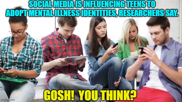 Sort of like easily indoctrinated lemmings eyeing the lip of a tall and towering cliff? | SOCIAL MEDIA IS INFLUENCING TEENS TO ADOPT MENTAL ILLNESS IDENTITIES, RESEARCHERS SAY. GOSH!  YOU THINK? | image tagged in gosh | made w/ Imgflip meme maker