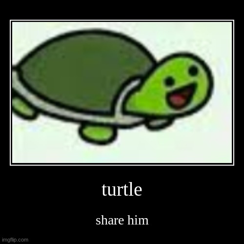 share bob. also, upvote if you think he's cute. this is not upvote begging | image tagged in funny,demotivationals,turtle,turtles | made w/ Imgflip demotivational maker