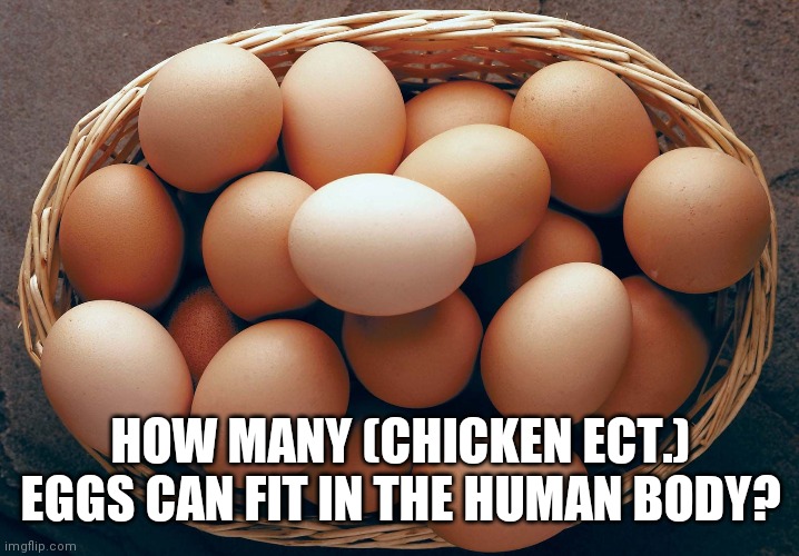 Egg Smuggling is up 108% over the last year | HOW MANY (CHICKEN ECT.) EGGS CAN FIT IN THE HUMAN BODY? | image tagged in brown eggs,shitty,eggs | made w/ Imgflip meme maker