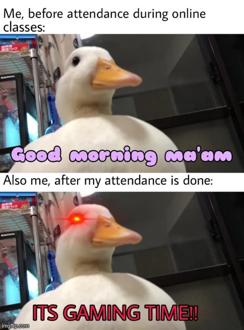 ITS GAMING TIME!!! | image tagged in memes,funny,relatable memes,repost,ducks,quack | made w/ Imgflip meme maker