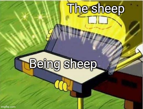 Spongbob secret weapon | The sheep Being sheep | image tagged in spongbob secret weapon | made w/ Imgflip meme maker