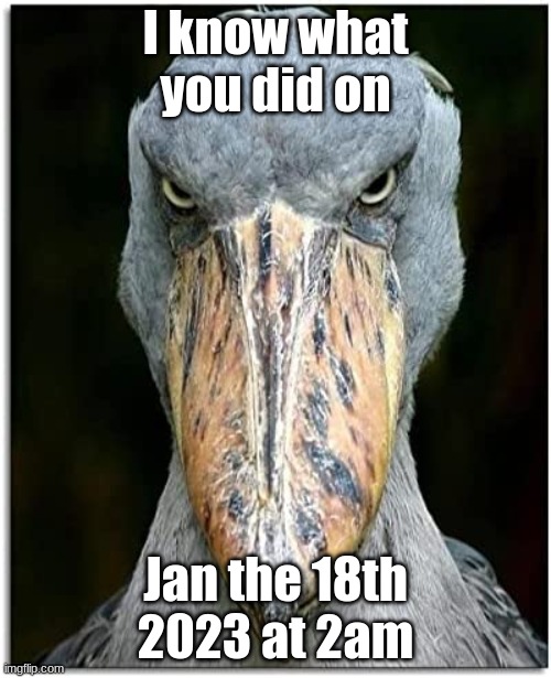he knows | I know what you did on; Jan the 18th 2023 at 2am | image tagged in bird knows | made w/ Imgflip meme maker