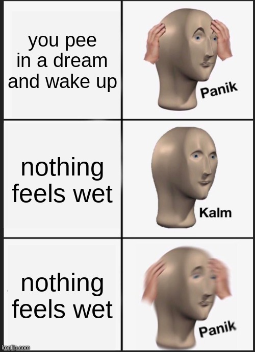 huh?! | you pee in a dream and wake up; nothing feels wet; nothing feels wet | image tagged in memes,panik kalm panik | made w/ Imgflip meme maker