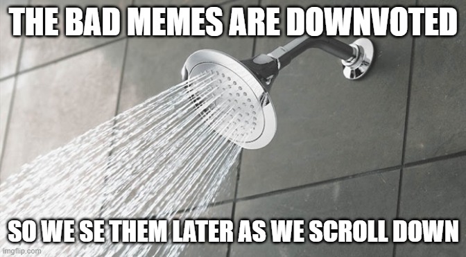 herm | THE BAD MEMES ARE DOWNVOTED; SO WE SE THEM LATER AS WE SCROLL DOWN | image tagged in shower thoughts | made w/ Imgflip meme maker