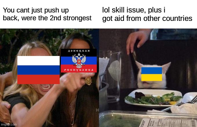 skill issue | You cant just push up back, were the 2nd strongest; lol skill issue, plus i got aid from other countries | image tagged in memes,woman yelling at cat | made w/ Imgflip meme maker