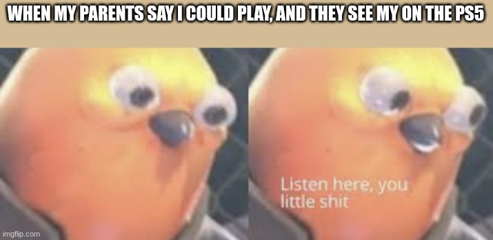 Listen HERE | WHEN MY PARENTS SAY I COULD PLAY, AND THEY SEE MY ON THE PS5 | image tagged in listen here you little shit bird | made w/ Imgflip meme maker