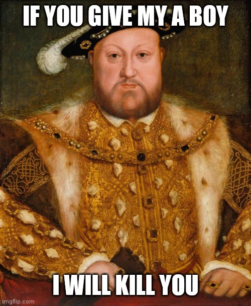 NICE | IF YOU GIVE MY A BOY; I WILL KILL YOU | image tagged in king henry viii | made w/ Imgflip meme maker