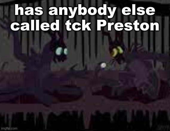 sfvcjaingers | has anybody else called tck Preston | image tagged in sfvcjaingers | made w/ Imgflip meme maker