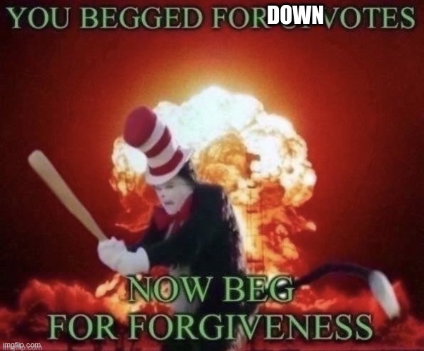 Beg for forgiveness | DOWN | image tagged in beg for forgiveness | made w/ Imgflip meme maker