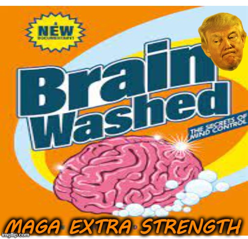 Don't get triggered, its just a meme | MAGA EXTRA STRENGTH | image tagged in donald trump,maga,brainwashed,gop,funny memes | made w/ Imgflip meme maker