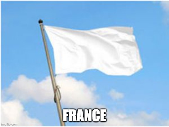 french | FRANCE | image tagged in white flag,france,flag,funny | made w/ Imgflip meme maker