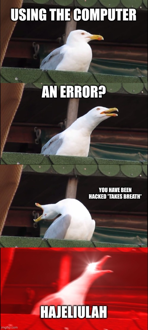 Inhaling Seagull Meme | USING THE COMPUTER; AN ERROR? YOU HAVE BEEN HACKED *TAKES BREATH*; HAJELIULAH | image tagged in memes,inhaling seagull | made w/ Imgflip meme maker