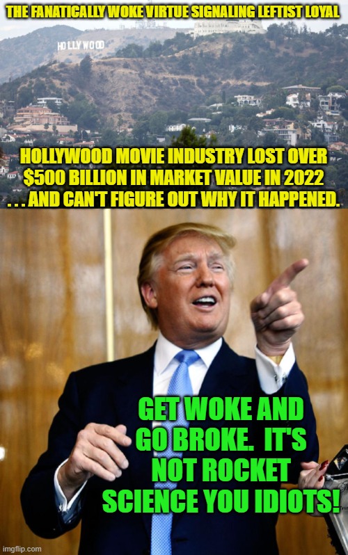 Psssst . . . leftists . . . give common sense a try. | THE FANATICALLY WOKE VIRTUE SIGNALING LEFTIST LOYAL; HOLLYWOOD MOVIE INDUSTRY LOST OVER $500 BILLION IN MARKET VALUE IN 2022 . . . AND CAN'T FIGURE OUT WHY IT HAPPENED. GET WOKE AND GO BROKE.  IT'S NOT ROCKET SCIENCE YOU IDIOTS! | image tagged in so it goes | made w/ Imgflip meme maker