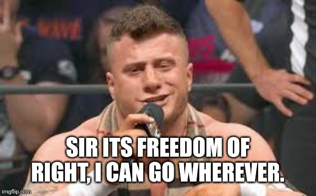 MJF | SIR ITS FREEDOM OF RIGHT, I CAN GO WHEREVER. | image tagged in mjf | made w/ Imgflip meme maker