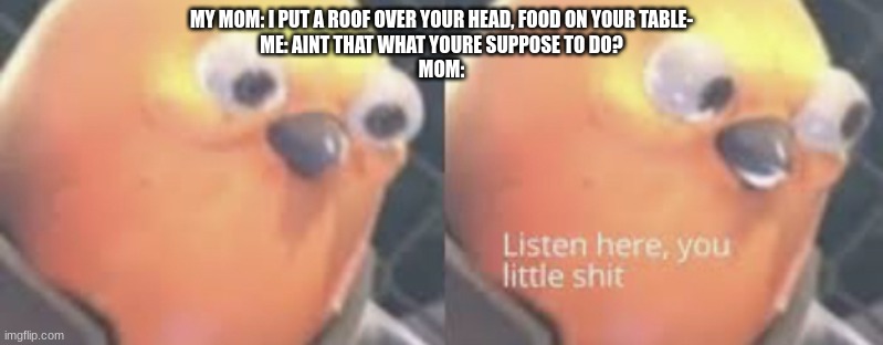 :D | MY MOM: I PUT A ROOF OVER YOUR HEAD, FOOD ON YOUR TABLE-
ME: AINT THAT WHAT YOURE SUPPOSE TO DO?
MOM: | image tagged in listen here you little shit bird | made w/ Imgflip meme maker