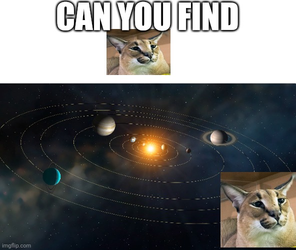 CAN YOU FIND | made w/ Imgflip meme maker