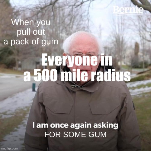 There goes your gum | When you pull out a pack of gum; Everyone in a 500 mile radius; FOR SOME GUM | image tagged in memes,bernie i am once again asking for your support,gum | made w/ Imgflip meme maker