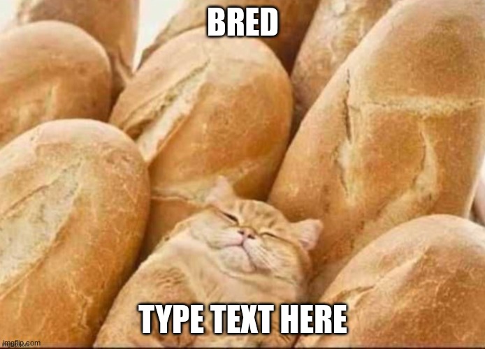 bred? | BRED; TYPE TEXT HERE | image tagged in camo cat loaf,walmart | made w/ Imgflip meme maker