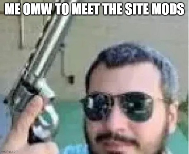 ME OMW TO MEET THE SITE MODS | made w/ Imgflip meme maker