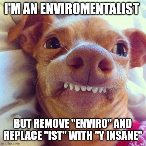 Get it, because I'm dying inside. | I'M AN ENVIROMENTALIST; BUT REMOVE "ENVIRO" AND REPLACE "IST" WITH "Y INSANE" | image tagged in phteven | made w/ Imgflip meme maker