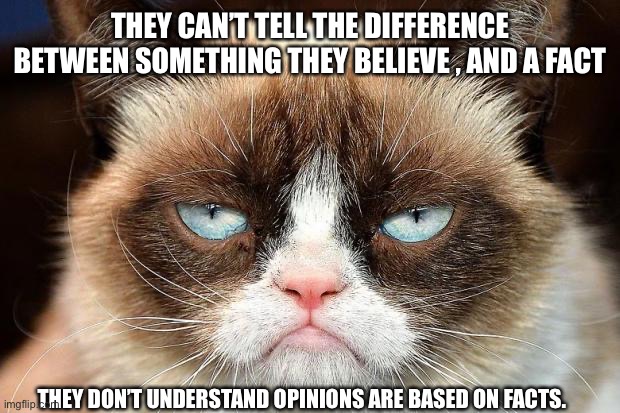 Grumpy Cat Not Amused Meme | THEY CAN’T TELL THE DIFFERENCE BETWEEN SOMETHING THEY BELIEVE , AND A FACT THEY DON’T UNDERSTAND OPINIONS ARE BASED ON FACTS. | image tagged in memes,grumpy cat not amused,grumpy cat | made w/ Imgflip meme maker