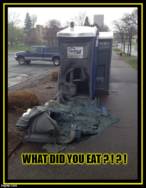 What Did You Eat | WHAT DID YOU EAT ? ! ? ! | image tagged in funny,taco bell,melted toilet | made w/ Imgflip meme maker