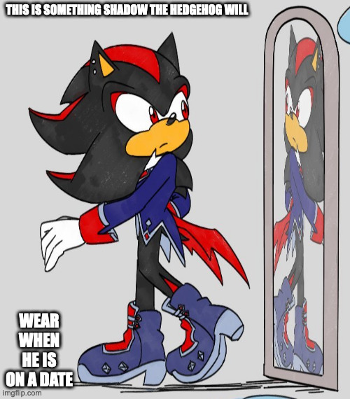 Shadow the Hedgehog's Alternative Attire | THIS IS SOMETHING SHADOW THE HEDGEHOG WILL; WEAR WHEN HE IS ON A DATE | image tagged in sonic the hedgehog,shadow the hedgehog,memes | made w/ Imgflip meme maker