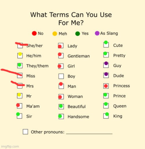 Pronouns Sheet | image tagged in pronouns sheet | made w/ Imgflip meme maker