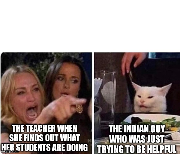 Lady screams at cat | THE TEACHER WHEN SHE FINDS OUT WHAT HER STUDENTS ARE DOING THE INDIAN GUY WHO WAS JUST TRYING TO BE HELPFUL | image tagged in lady screams at cat | made w/ Imgflip meme maker