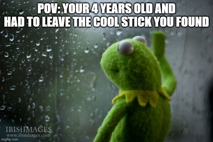 kermit window | POV: YOUR 4 YEARS OLD AND HAD TO LEAVE THE COOL STICK YOU FOUND | image tagged in kermit window | made w/ Imgflip meme maker