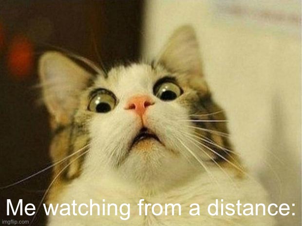 Scared Cat Meme | Me watching from a distance: | image tagged in memes,scared cat | made w/ Imgflip meme maker