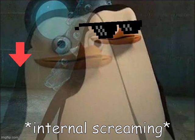 Private Internal Screaming | image tagged in private internal screaming | made w/ Imgflip meme maker