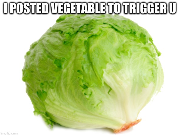 ima trigger u rq | I POSTED VEGETABLE TO TRIGGER U | image tagged in vegetables | made w/ Imgflip meme maker