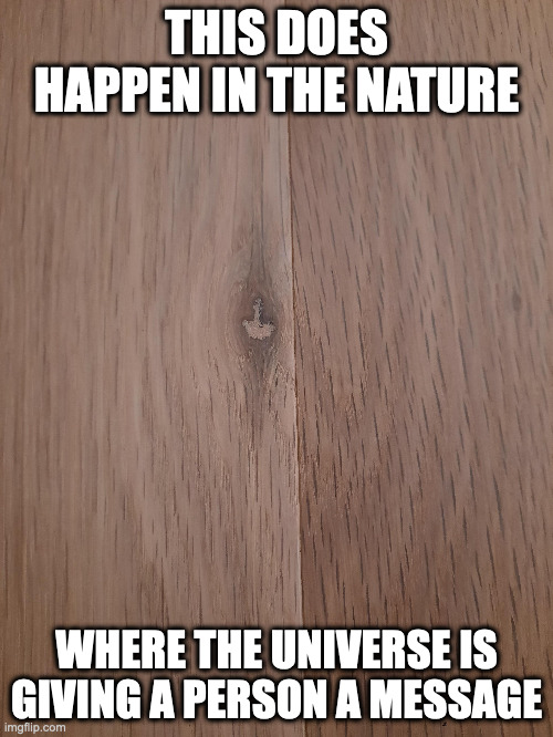 Middle Finger in a Polished Floor Board | THIS DOES HAPPEN IN THE NATURE; WHERE THE UNIVERSE IS GIVING A PERSON A MESSAGE | image tagged in memes,wood | made w/ Imgflip meme maker