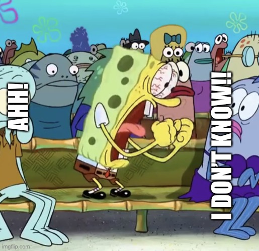 Spongebob Yelling | AHH! I DON’T KNOW!! | image tagged in spongebob yelling | made w/ Imgflip meme maker