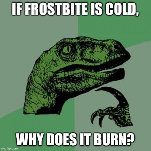 Philosoraptor Meme | IF FROSTBITE IS COLD, WHY DOES IT BURN? | image tagged in memes,philosoraptor | made w/ Imgflip meme maker