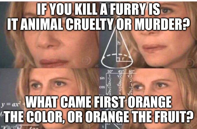 Math lady/Confused lady | IF YOU KILL A FURRY IS IT ANIMAL CRUELTY OR MURDER? WHAT CAME FIRST ORANGE THE COLOR, OR ORANGE THE FRUIT? | image tagged in math lady/confused lady | made w/ Imgflip meme maker