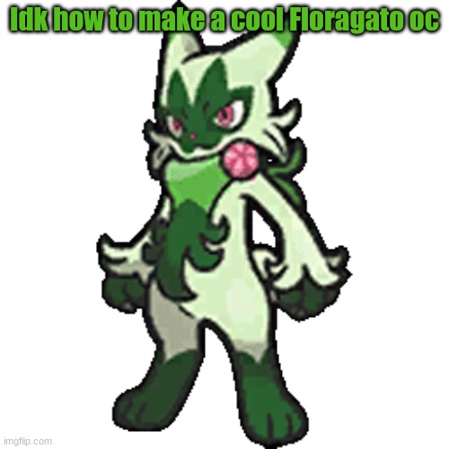 Floragato | Idk how to make a cool Floragato oc | image tagged in floragato | made w/ Imgflip meme maker