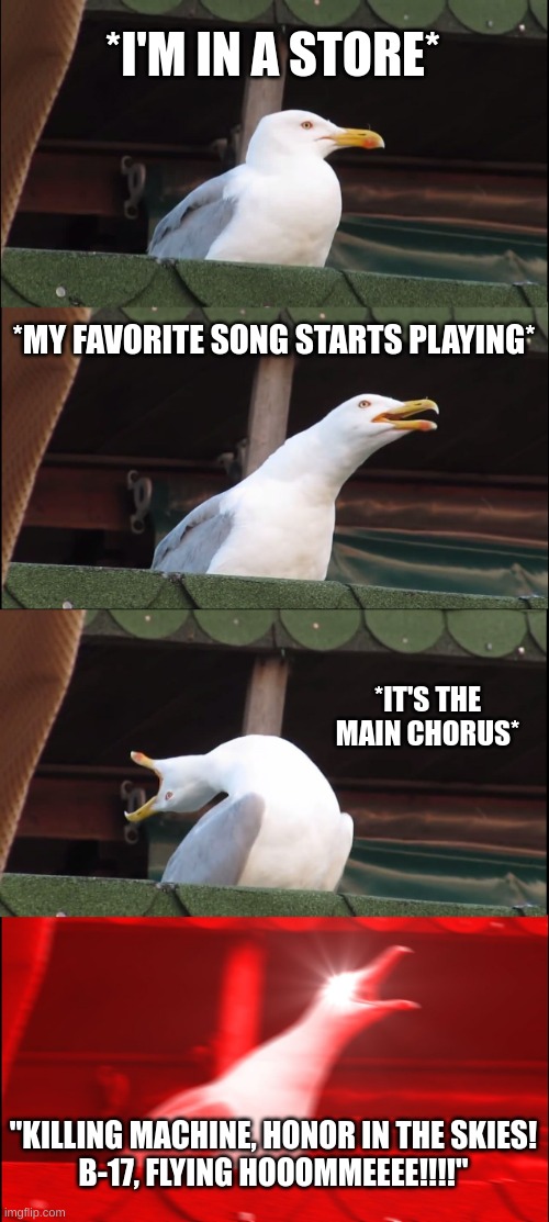 Who's a Sabaton fan? | *I'M IN A STORE*; *MY FAVORITE SONG STARTS PLAYING*; *IT'S THE MAIN CHORUS*; "KILLING MACHINE, HONOR IN THE SKIES!
B-17, FLYING HOOOMMEEEE!!!!" | image tagged in memes,inhaling seagull | made w/ Imgflip meme maker
