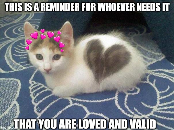 cute cat heart | THIS IS A REMINDER FOR WHOEVER NEEDS IT; THAT YOU ARE LOVED AND VALID | image tagged in cute cat heart | made w/ Imgflip meme maker