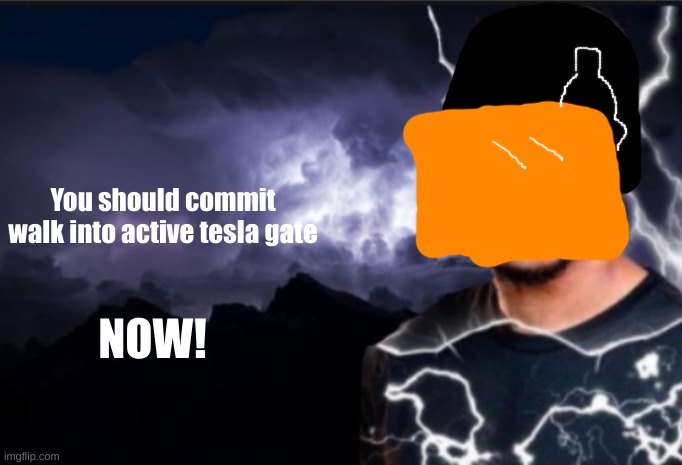K wodr blank | You should commit walk into active tesla gate NOW! | image tagged in k wodr blank | made w/ Imgflip meme maker