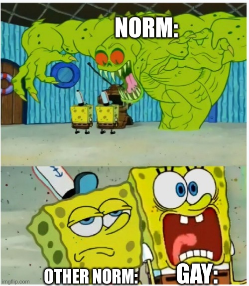SpongeBob SquarePants scared but also not scared | NORM:; GAY:; OTHER NORM: | image tagged in spongebob squarepants scared but also not scared | made w/ Imgflip meme maker